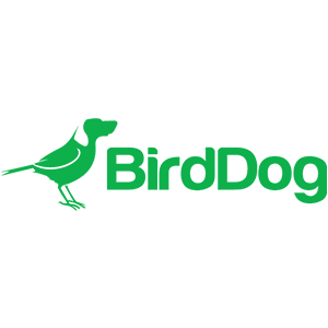 bird dog